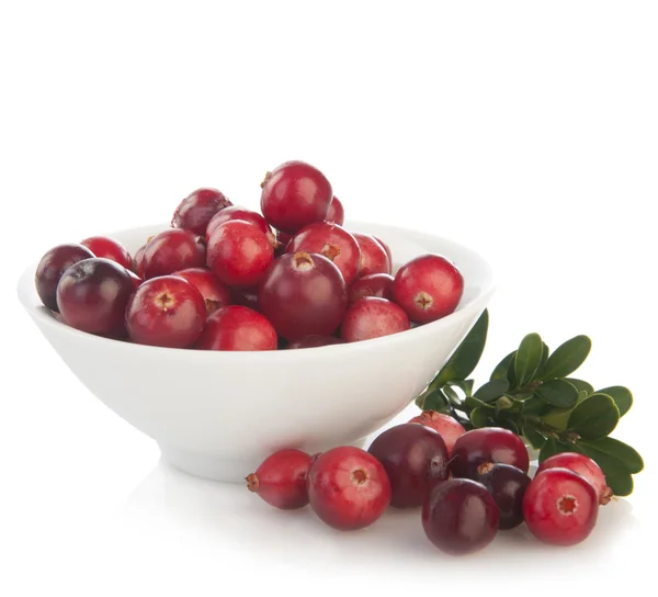 Fresh forest cranberries in bowl — Stock Photo, Image