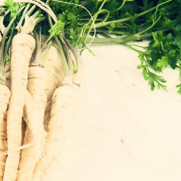 Fresh parsley roots — Stock Photo, Image