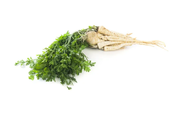 Fresh parsley roots — Stock Photo, Image