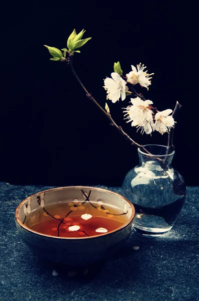 Apricot flowers and cup of tea — Stock Photo, Image