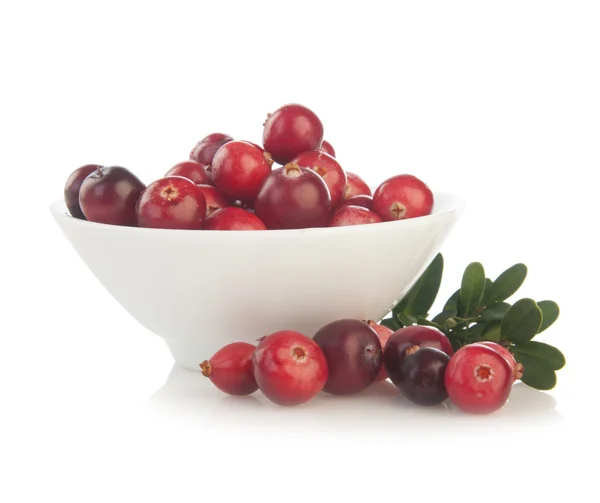 Fresh forest cranberries in bowl — Stock Photo, Image