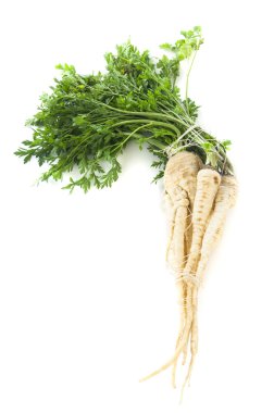 taze maydanoz kökleri