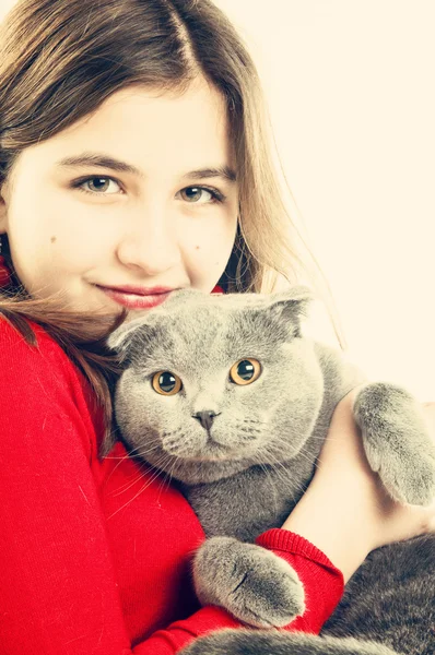 Girl with Scottish Fold cat — Stock Photo, Image