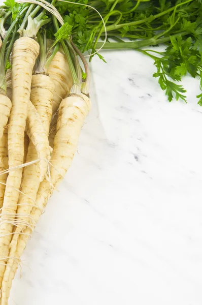 Fresh parsley roots — Stock Photo, Image