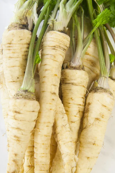 Fresh parsley roots — Stock Photo, Image