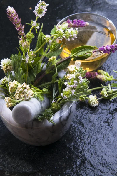 Chá de ervas em xícara e flores — Fotografia de Stock