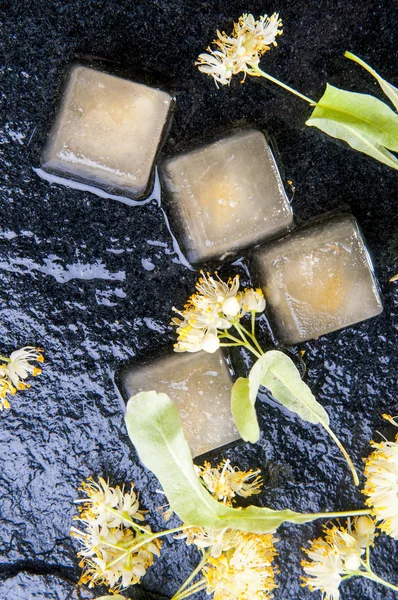 Herbal linden ice cubes — 스톡 사진