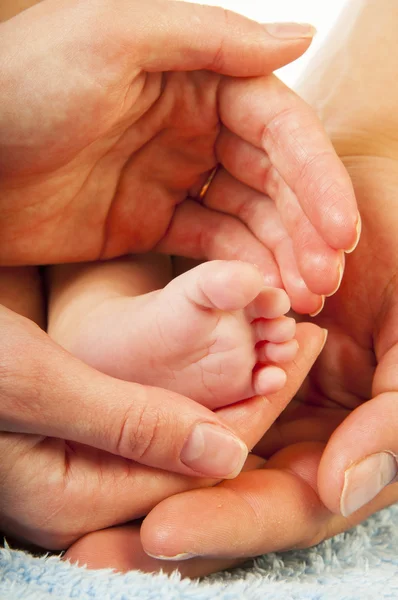 Baby leg on parents hands — Stock Photo, Image