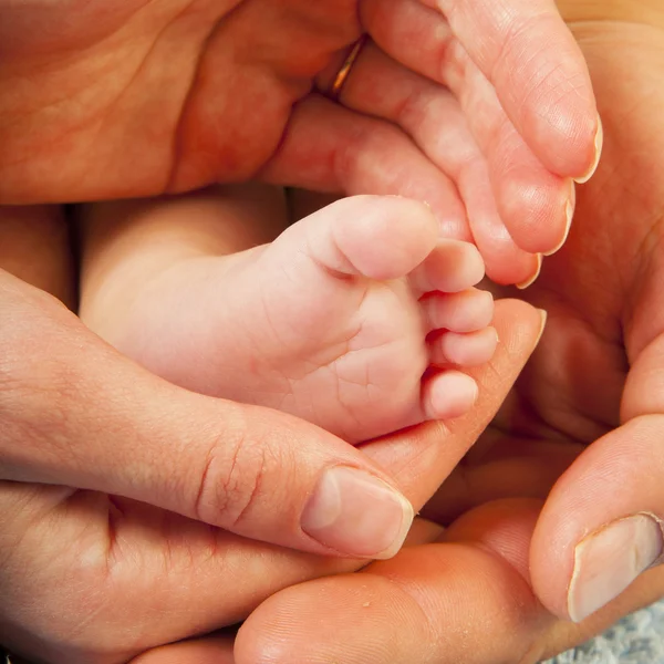 Jambe de bébé sur les mains des parents — Photo