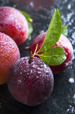 Yapraklı olgun erikler