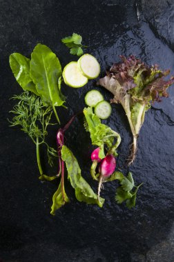 Sebzeler ve taze otlar.