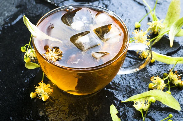 Linden thee met ijs en bloemen — Stockfoto