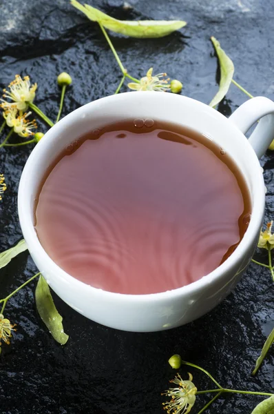 Linden te och blommor — Gratis stockfoto