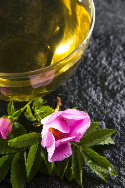 Herbal tea in cup and rose flower — Stock Photo, Image