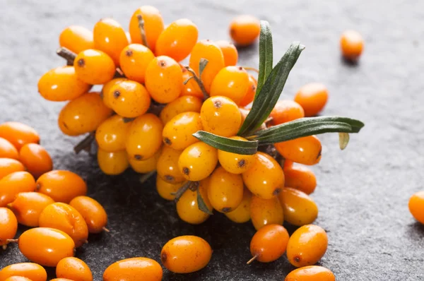 Close up of sea buckthorns — Free Stock Photo