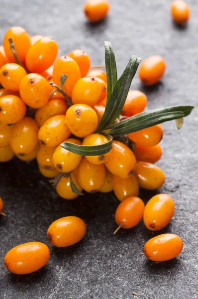 Close up of sea buckthorns — Free Stock Photo