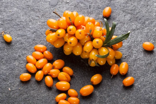 Close up of sea buckthorns — Stock Photo, Image