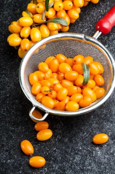 Tengeri buckthorns bogyókat a tea szűrő — ingyenes stock fotók