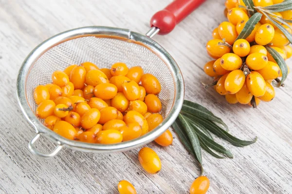 Sea buckthorns berries in  tea strainer — Stock Photo, Image