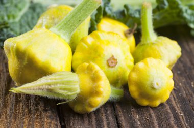 Olgun Pattypan kabakları