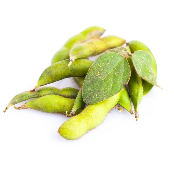 Fagioli di soia con foglie — Foto Stock