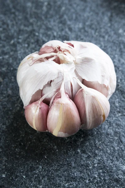 Garlic  bulb on stone background — Stock Photo, Image