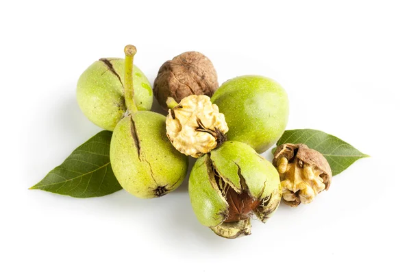 Nueces maduras con hojas —  Fotos de Stock