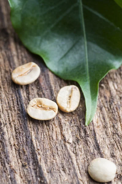 Green coffee beans with leaf — Stock Photo, Image