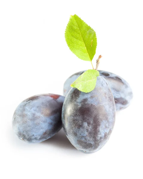 Ripe plums with leaves — Stock Photo, Image