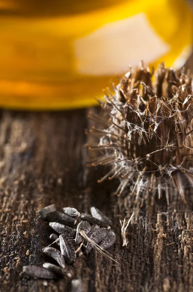 Burdock dry flowers and seeds — Stock Photo, Image