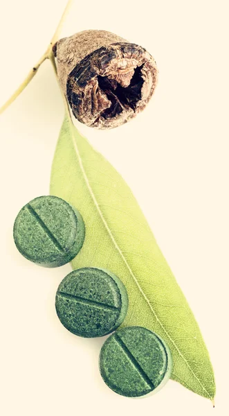 Green Eucalyptus branch and pills — Stock Photo, Image
