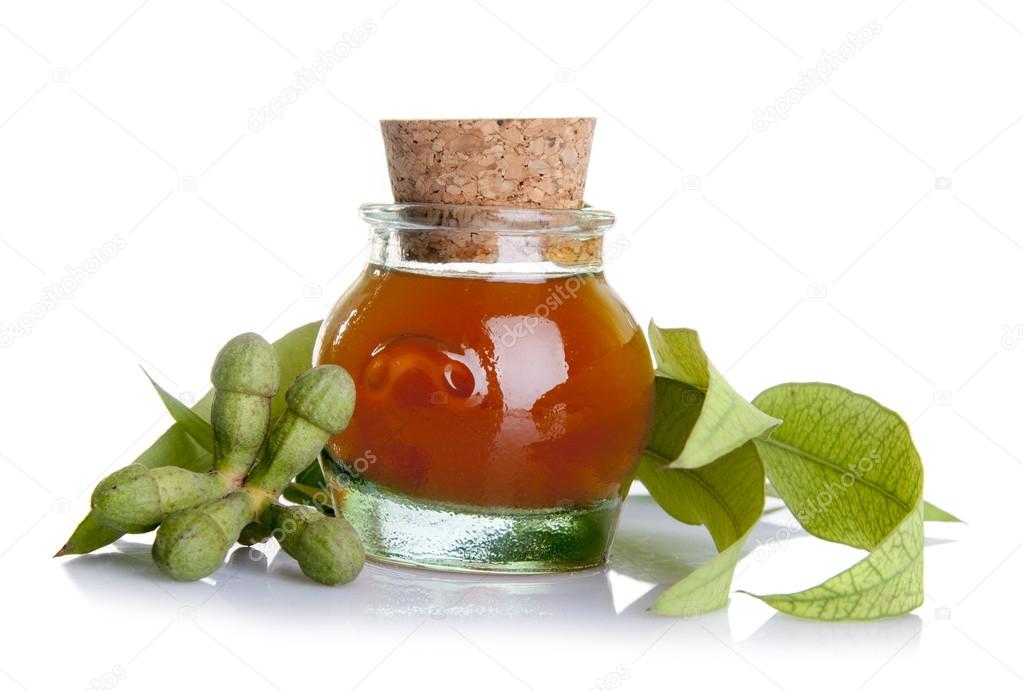 Eucalyptus essential oil with leaves and  seeds
