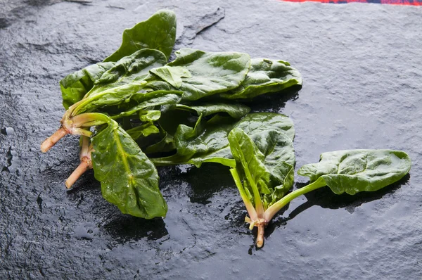 Färska gröna blad av spenat — Stockfoto