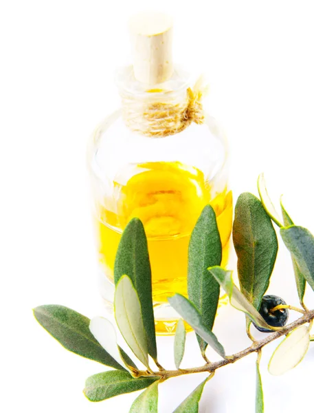 Bottle of olive oil and branch — Stock Photo, Image