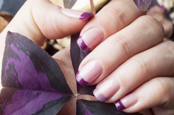 Uñas femeninas con diseño de manicura púrpura — Foto de Stock