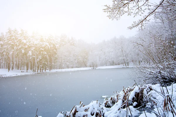 Paisaje invernal con río o lago — Foto de stock gratuita