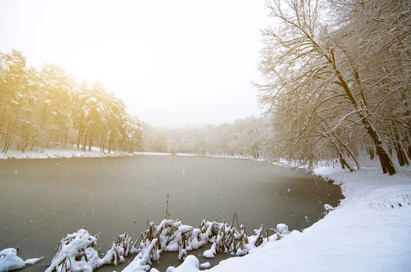 Зимний пейзаж с рекой или озером — Бесплатное стоковое фото