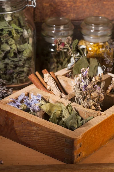 Dry Herbs used in alternative medicine — Stock Photo, Image