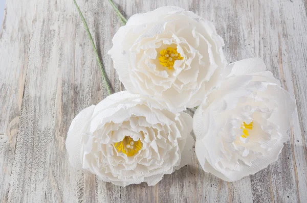 Hand made paper white flowers — Stock Photo, Image