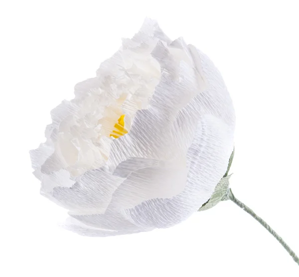 Handgemachtes Papier weiße Blume Pfingstrose — Stockfoto