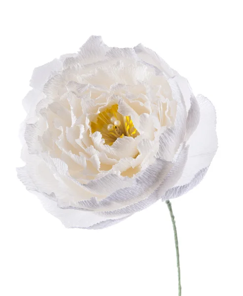 Hand made paper white flower peony — Stock Photo, Image