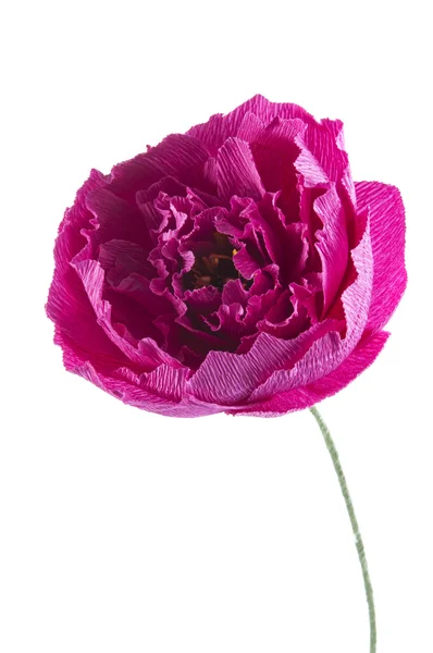 Carta fatta a mano fiore rosa — Foto Stock