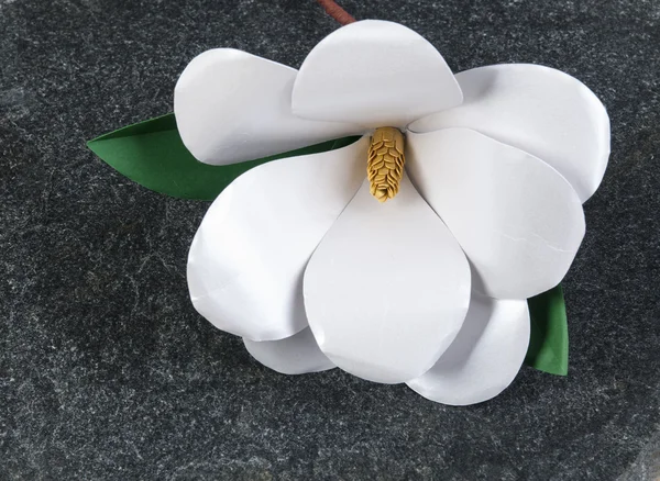 Біла паперова квітка магнолії — стокове фото