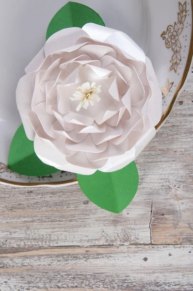 Witboek camellia bloem — Stockfoto