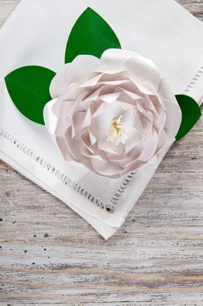 Weiße Papierkamelienblüte — Stockfoto
