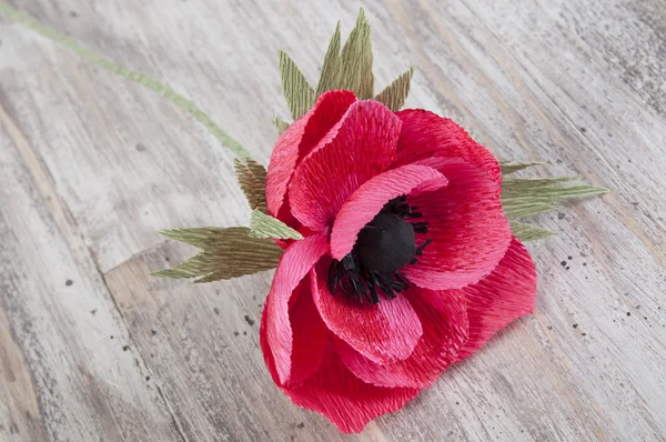 Fiore di peonia di carta rossa — Foto Stock