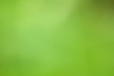 Lensler bulanık yeşil arkaplan