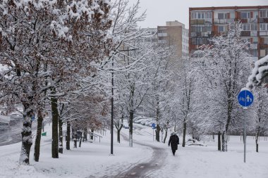 Vilnius, Litvanya, 27 Ocak 2021. Maskeli bir kadın kışın karlı bir sokakta yürüyor.