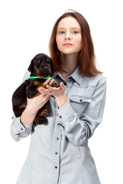 Beautiful woman holds red doberman dog puppy — Stock Photo, Image