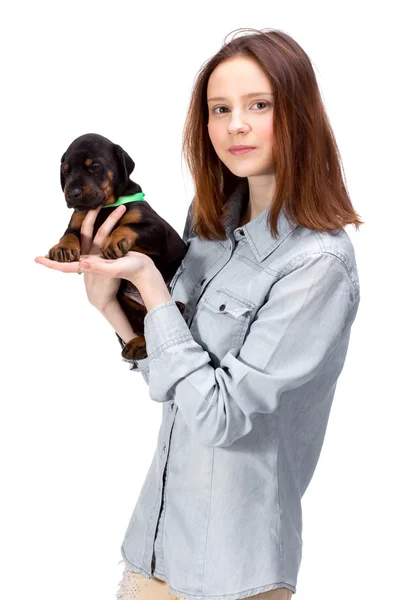 Beautiful woman holds red doberman dog puppy — Stock Photo, Image